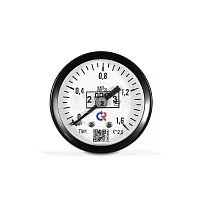 ТМ-121Р.00(0-2,5)MPa.G1/8".2,5 ГЛИЦЕРИН УТ-00001253