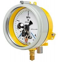 ДМ2005ф Сг1Ехd 6 МПа кл.1,5 исп IV УТ000014931