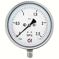 ТМ-621Р.00(0-10)MPa.G1/2".1,0  СИЛИКОН УТ000006801